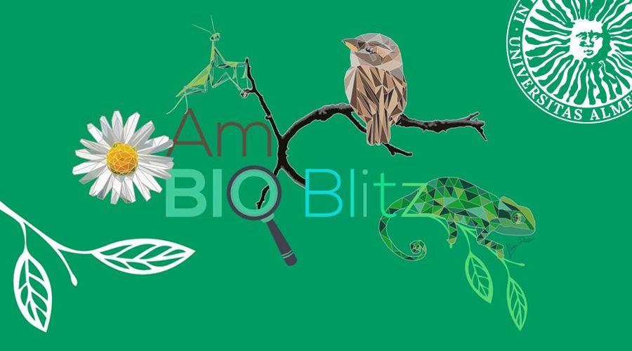 UALjoven. VI AmBioBlitz 2023. Maratón de biodiversidad. Universidad de Almería